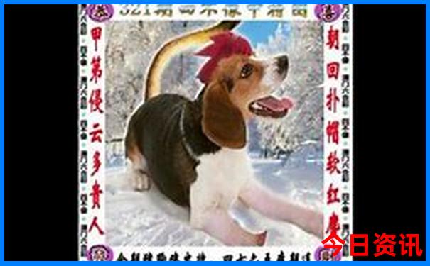 中国必去的十大景点